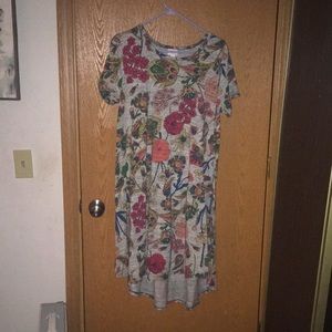 Multicolor, LuLaroe maxi dress. With small pocket on front. Size Medium